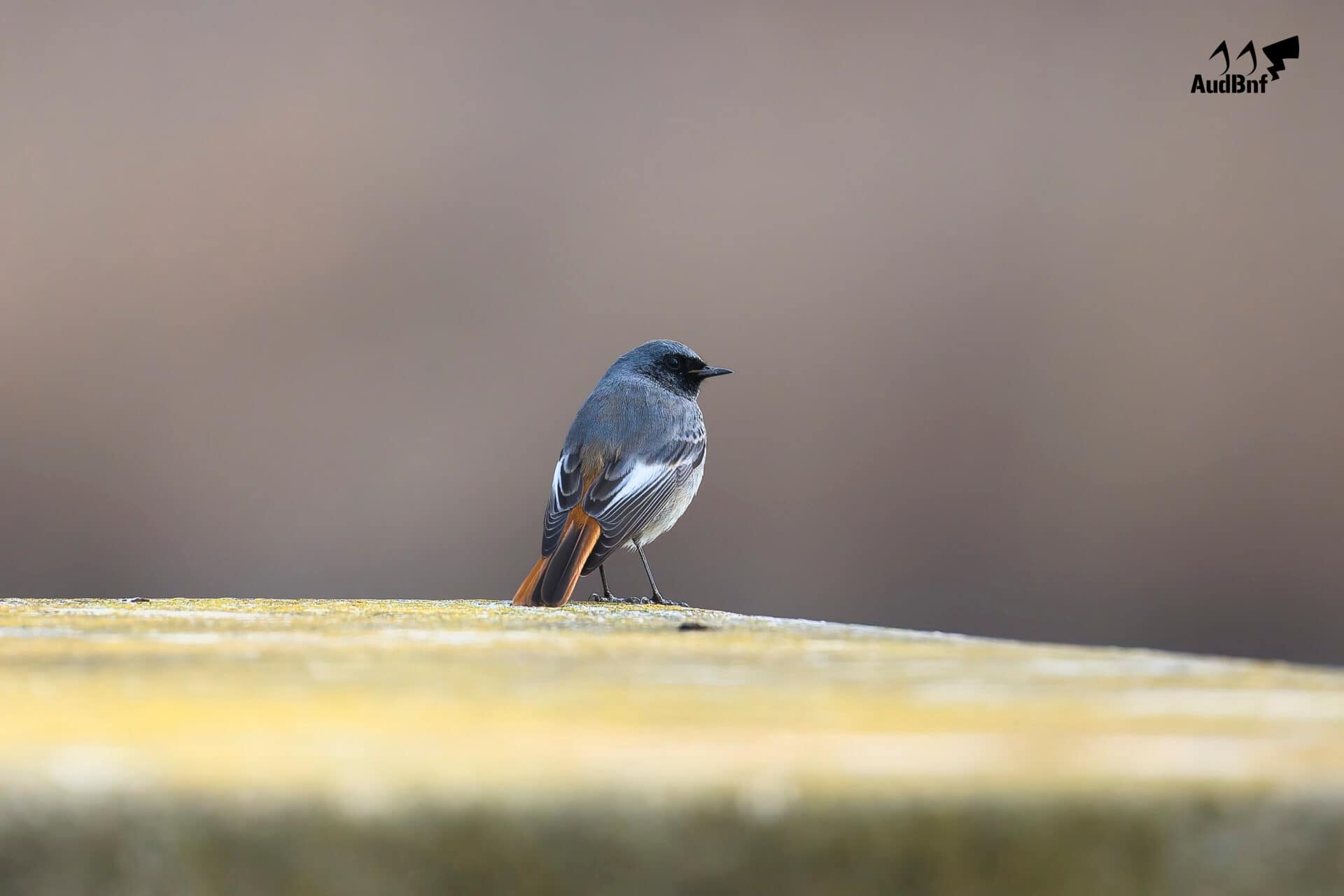 Saintes Maries De La Mer