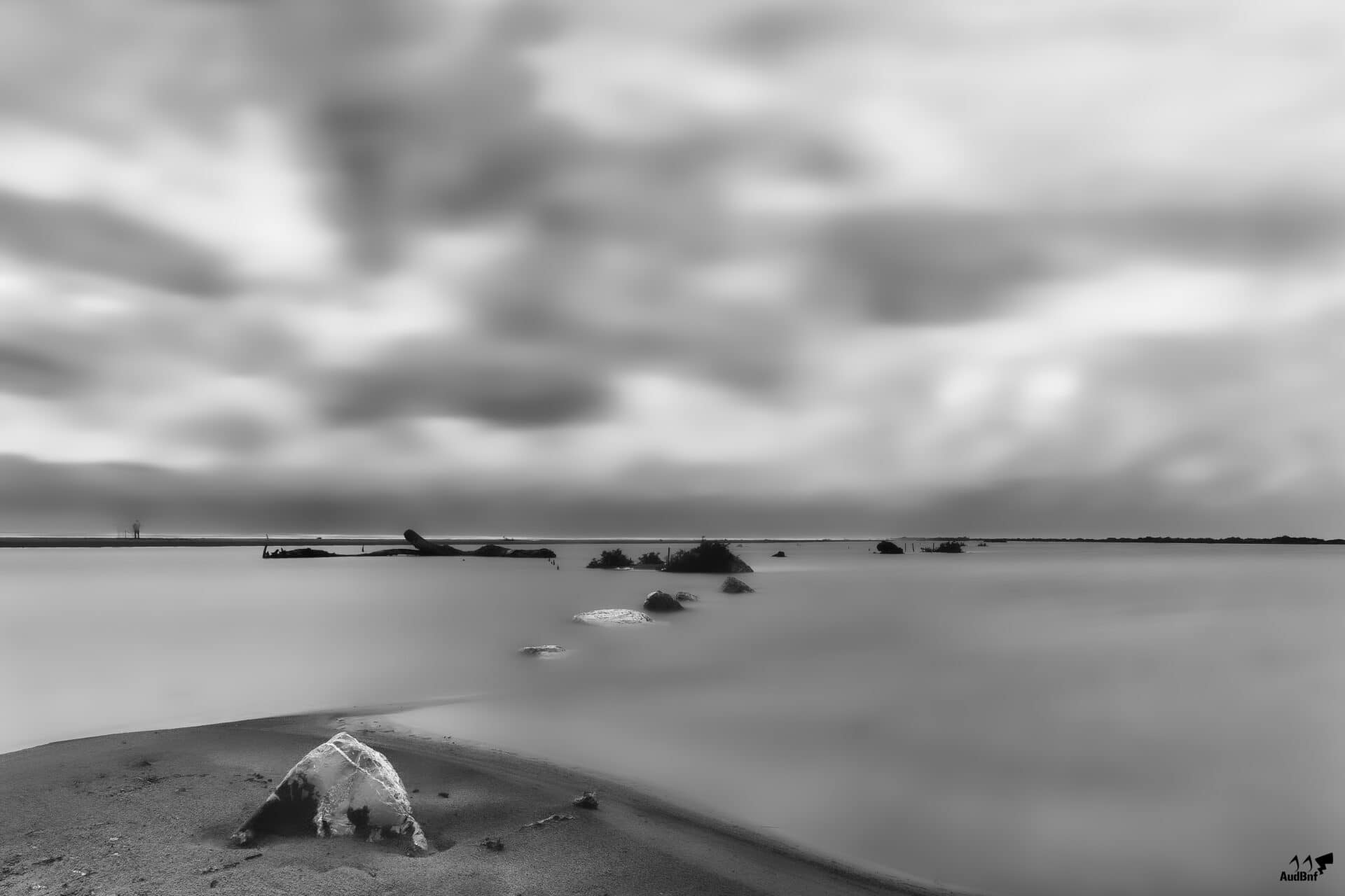 Flamants de Camargue