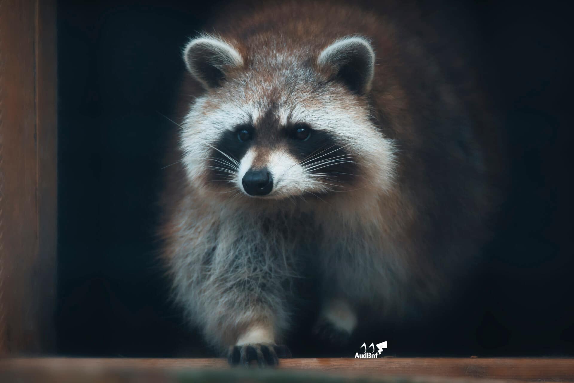 Saintes Maries De La Mer