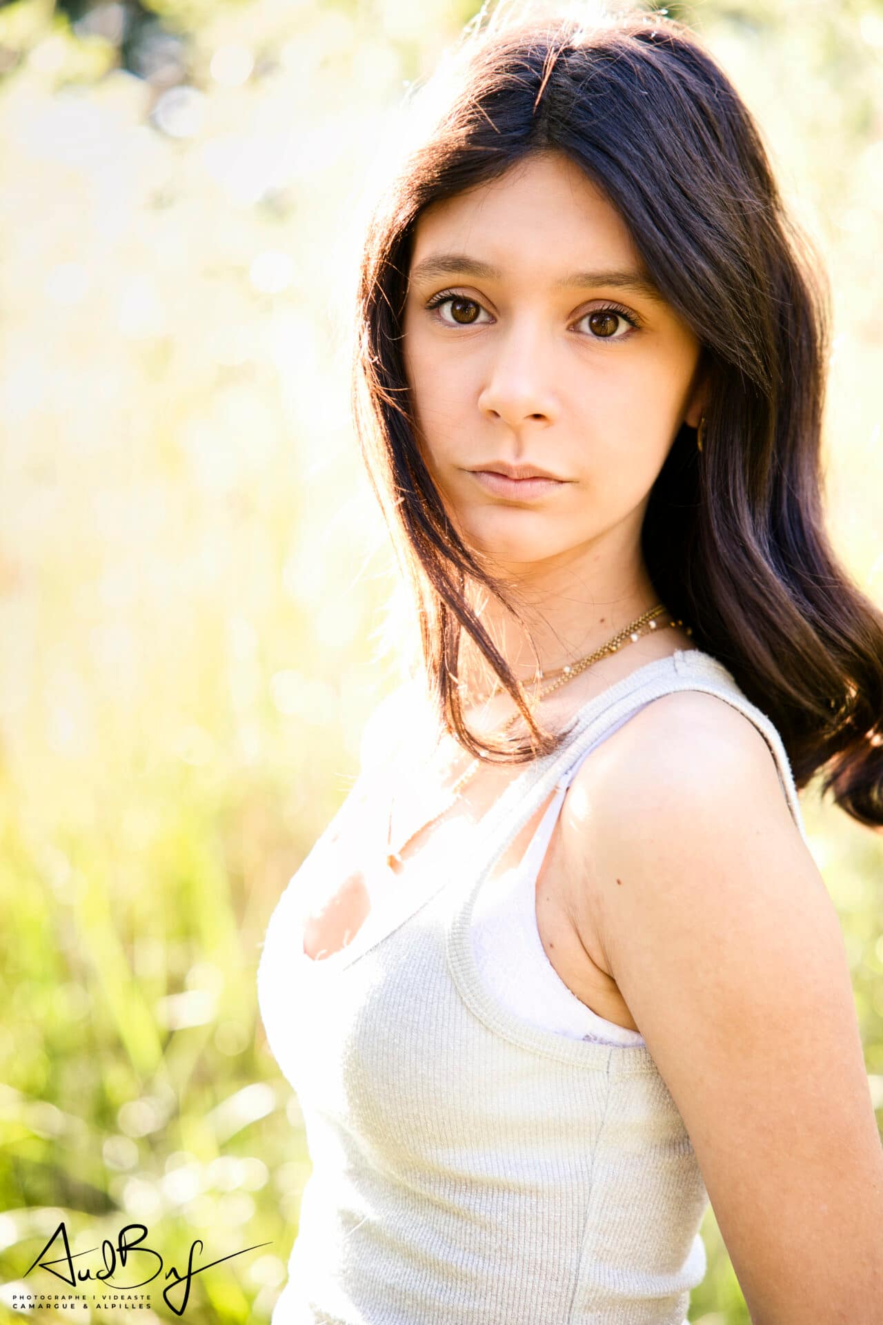 Flamants de Camargue