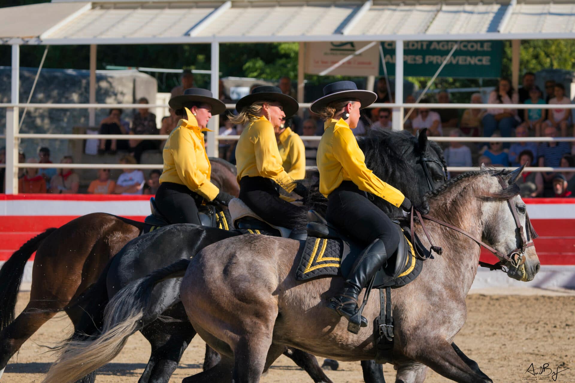 Saintes Maries De La Mer